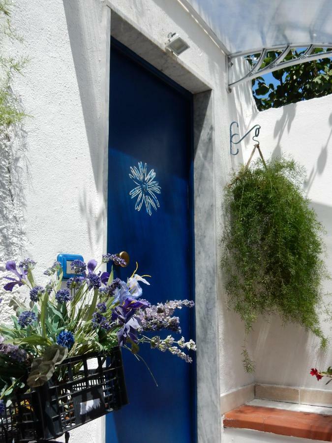 La Casetta Blu Apartment Торе дел Греко Екстериор снимка